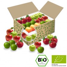 Große BIO-Buerobox Apfel